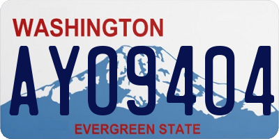 WA license plate AYO9404