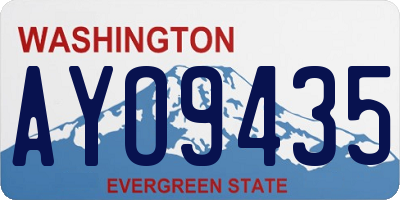 WA license plate AYO9435