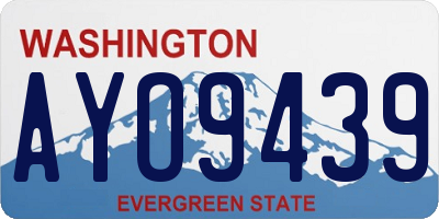 WA license plate AYO9439