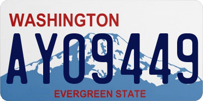 WA license plate AYO9449