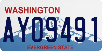 WA license plate AYO9491