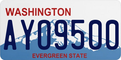 WA license plate AYO9500