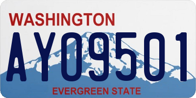 WA license plate AYO9501