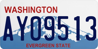 WA license plate AYO9513