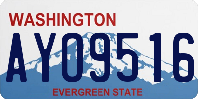 WA license plate AYO9516
