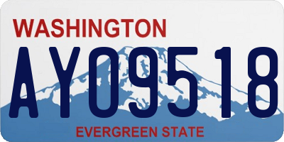 WA license plate AYO9518