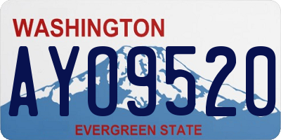 WA license plate AYO9520