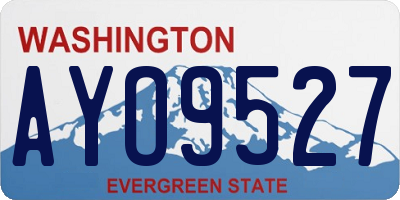 WA license plate AYO9527