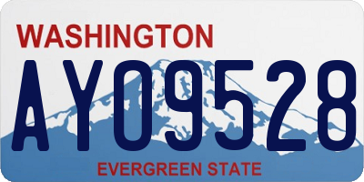 WA license plate AYO9528