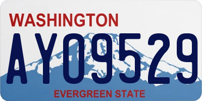 WA license plate AYO9529