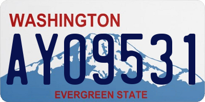 WA license plate AYO9531