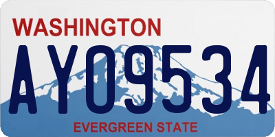 WA license plate AYO9534