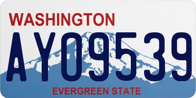 WA license plate AYO9539