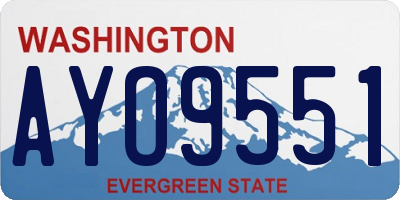 WA license plate AYO9551