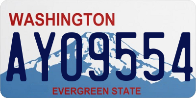 WA license plate AYO9554