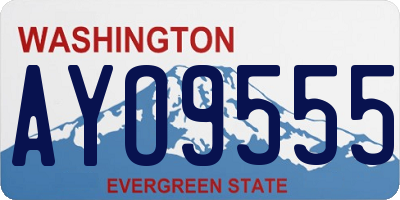 WA license plate AYO9555