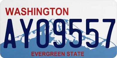 WA license plate AYO9557