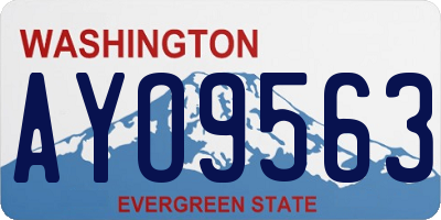 WA license plate AYO9563