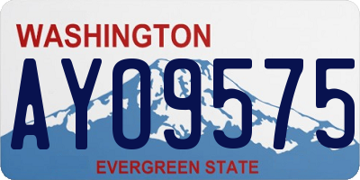 WA license plate AYO9575