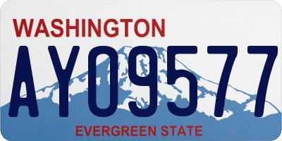 WA license plate AYO9577