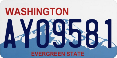 WA license plate AYO9581