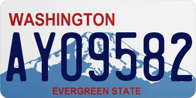 WA license plate AYO9582
