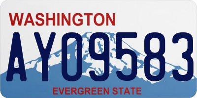 WA license plate AYO9583
