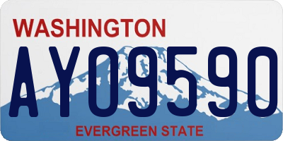 WA license plate AYO9590