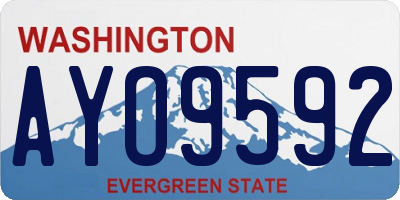 WA license plate AYO9592