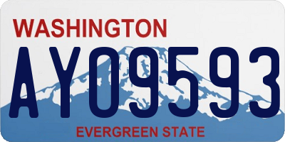 WA license plate AYO9593