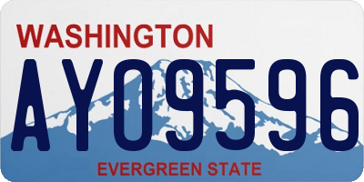 WA license plate AYO9596
