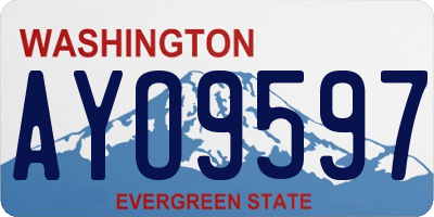 WA license plate AYO9597