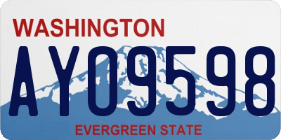 WA license plate AYO9598