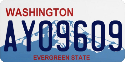 WA license plate AYO9609