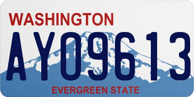 WA license plate AYO9613