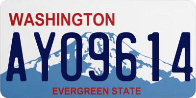WA license plate AYO9614
