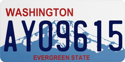 WA license plate AYO9615