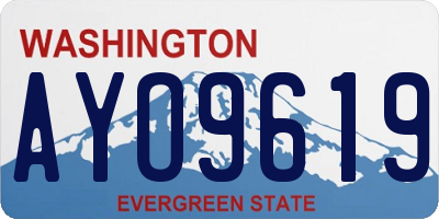 WA license plate AYO9619