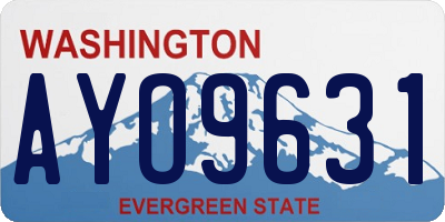 WA license plate AYO9631