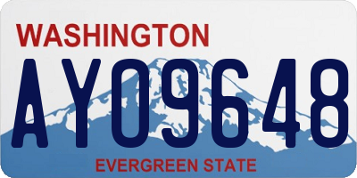 WA license plate AYO9648