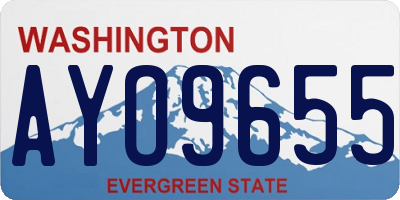 WA license plate AYO9655