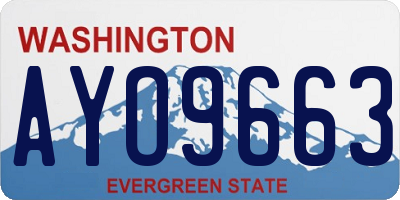 WA license plate AYO9663