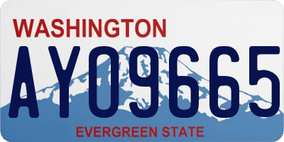 WA license plate AYO9665