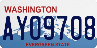 WA license plate AYO9708
