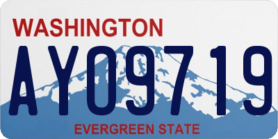 WA license plate AYO9719