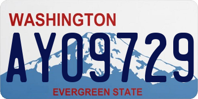 WA license plate AYO9729