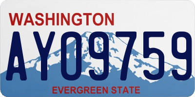 WA license plate AYO9759