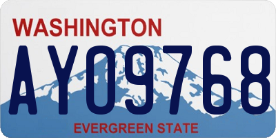 WA license plate AYO9768