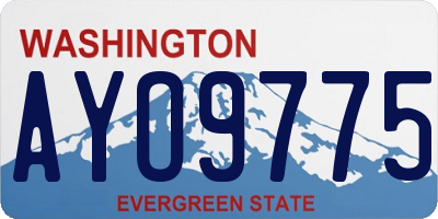 WA license plate AYO9775