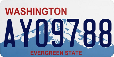 WA license plate AYO9788